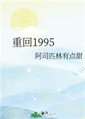 重回1995晋江