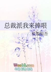 总裁派我来捧哏TXT全文免费