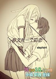 你欠我一个初恋elephant