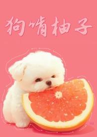 狗啃柚子1V1