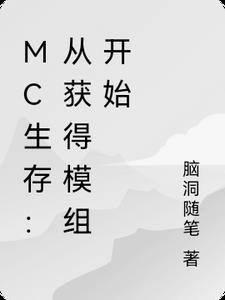 mc生存模组推荐