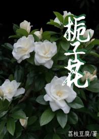 栀子花女主